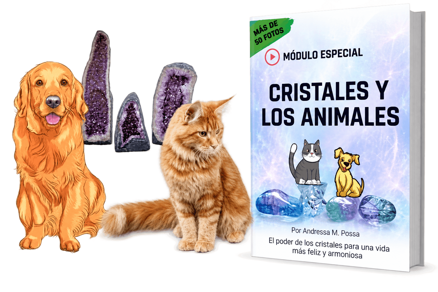 Bono Los Cristales y los Animales